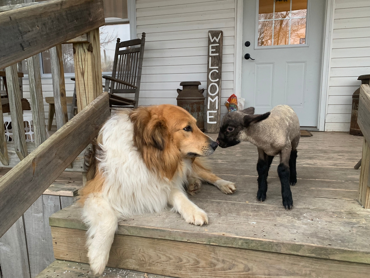 A Glimpse Into Our World A Glimpse Into Our World