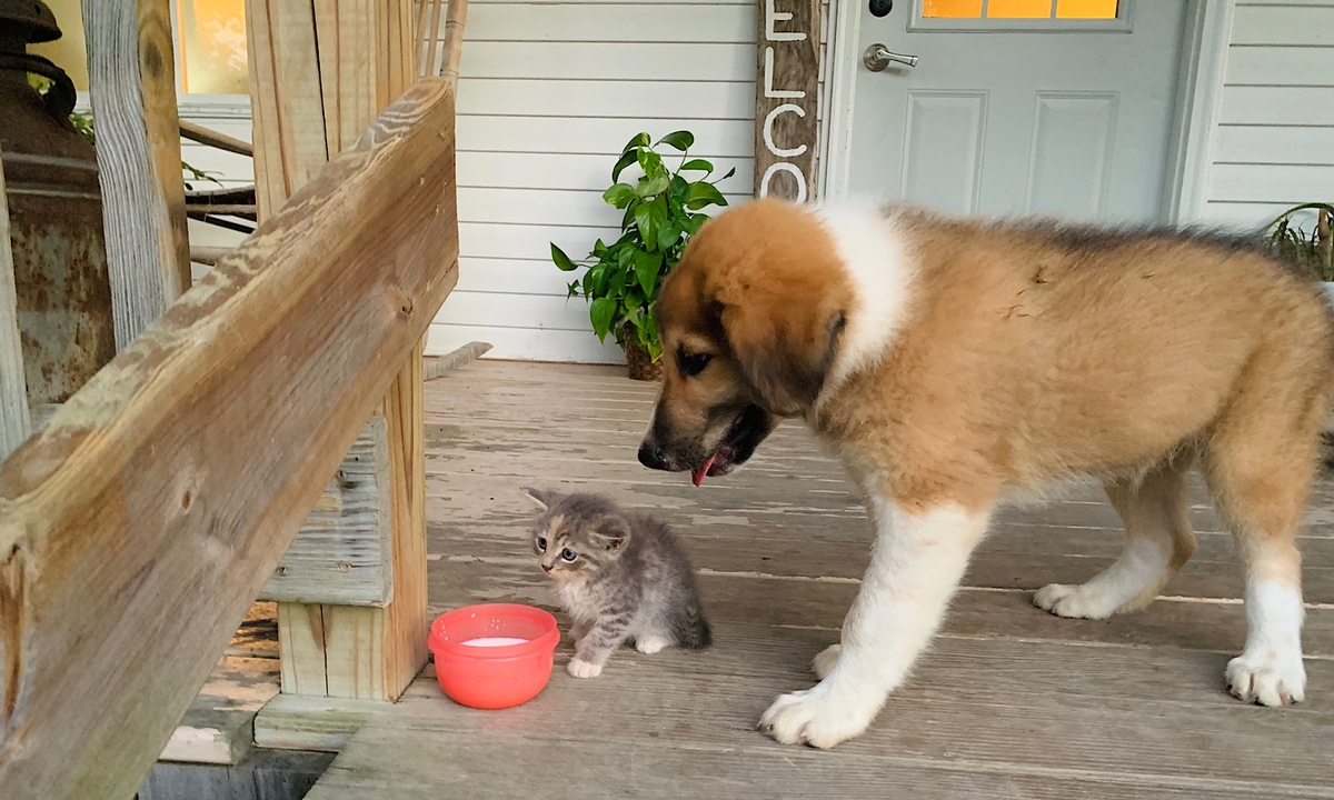 A Place for Generations to Thrive