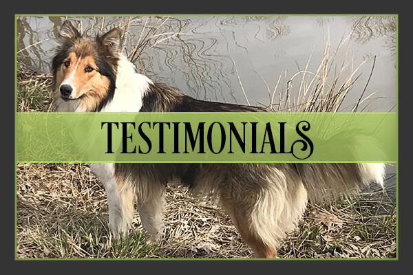 Testimonials Testimonials