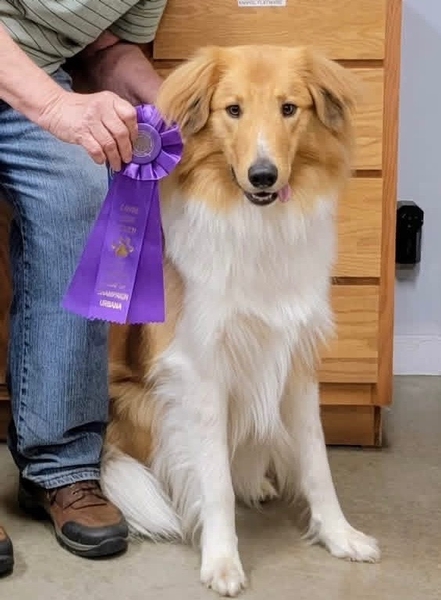 Duke